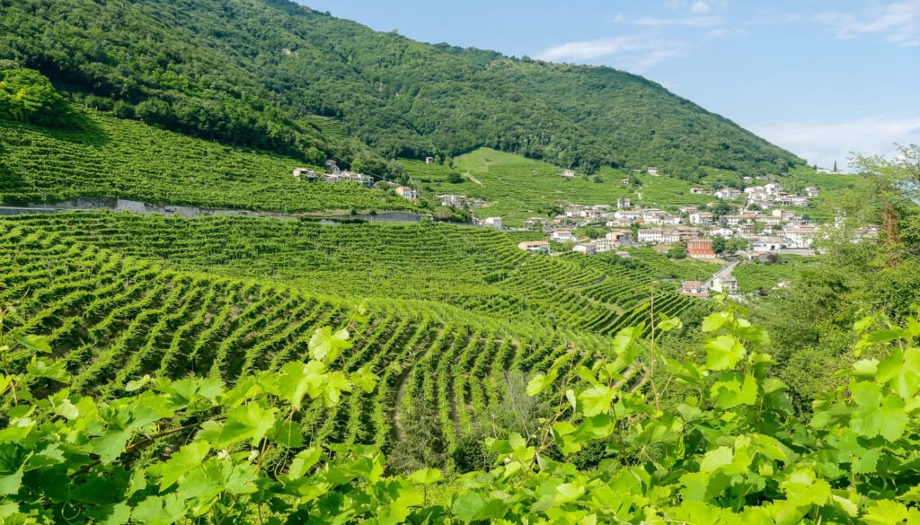 Die Prosecco-Weinstraße_ Genuss und Landschaft