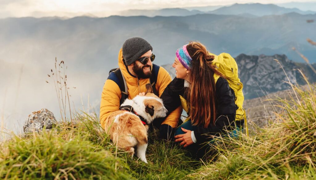 Die besten Reisetipps mit Hund, die du kennen musst