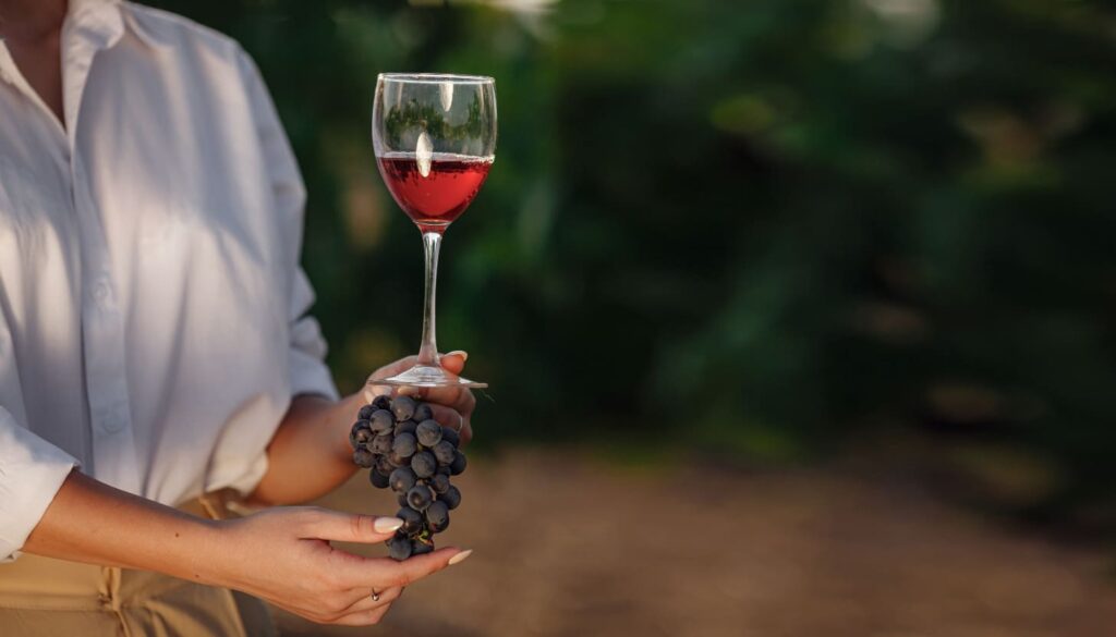 Genieße den Bardolino-Wein und besuche lokale Weingüter