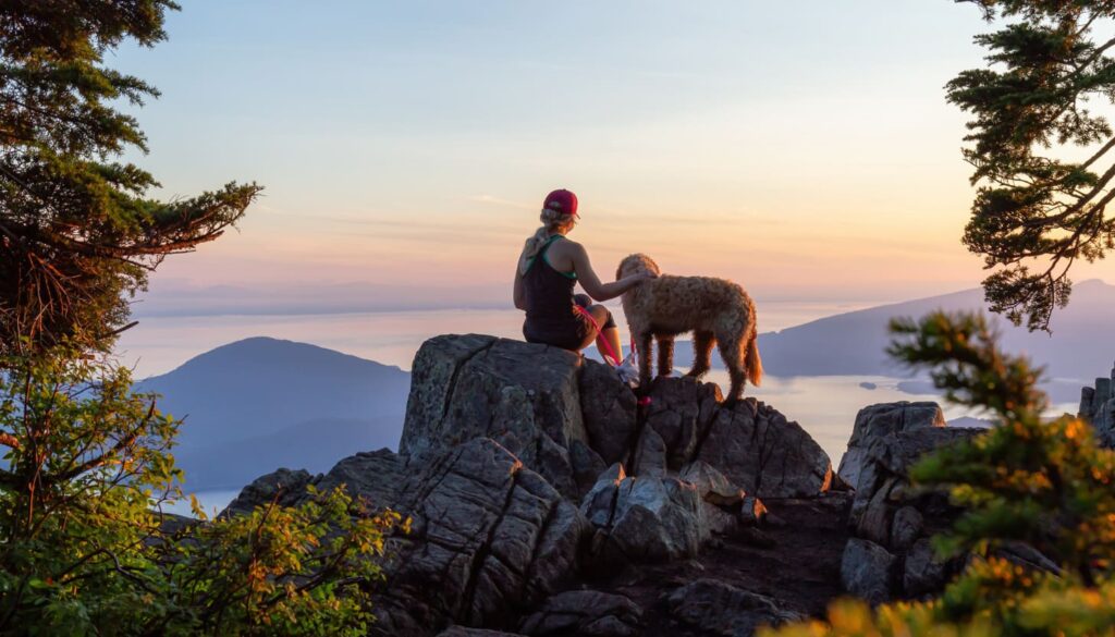 Wandern im Schwarzwald mit Hund