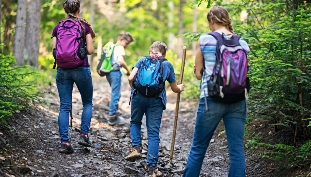 Wandern  Die Natur entdecken