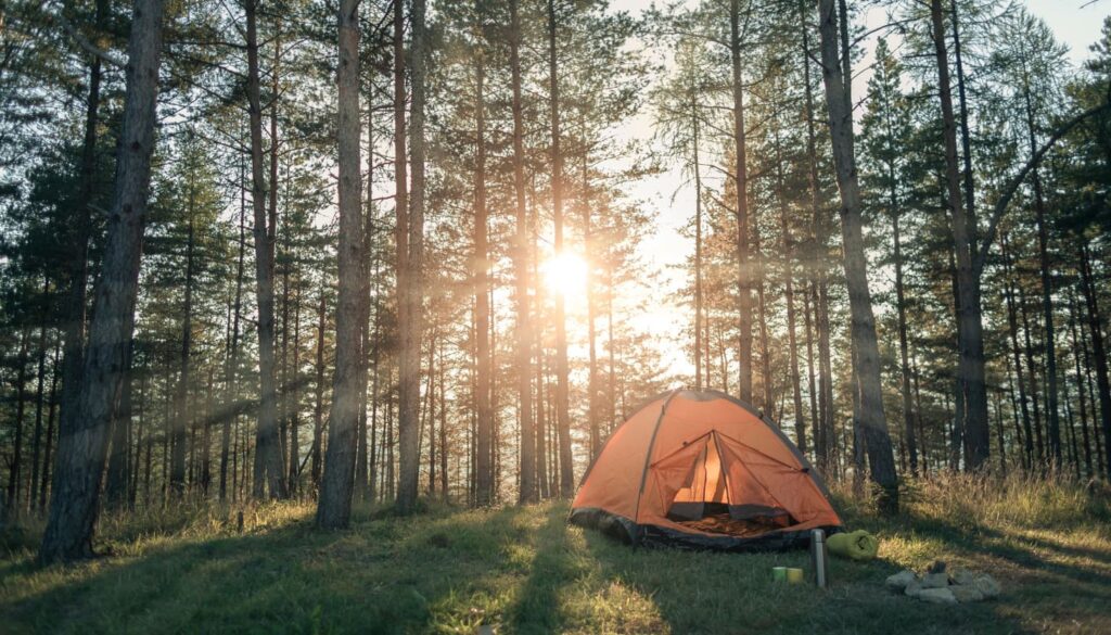 Camping im Schwarzwald, Deutschland: Natur pur und preiswert