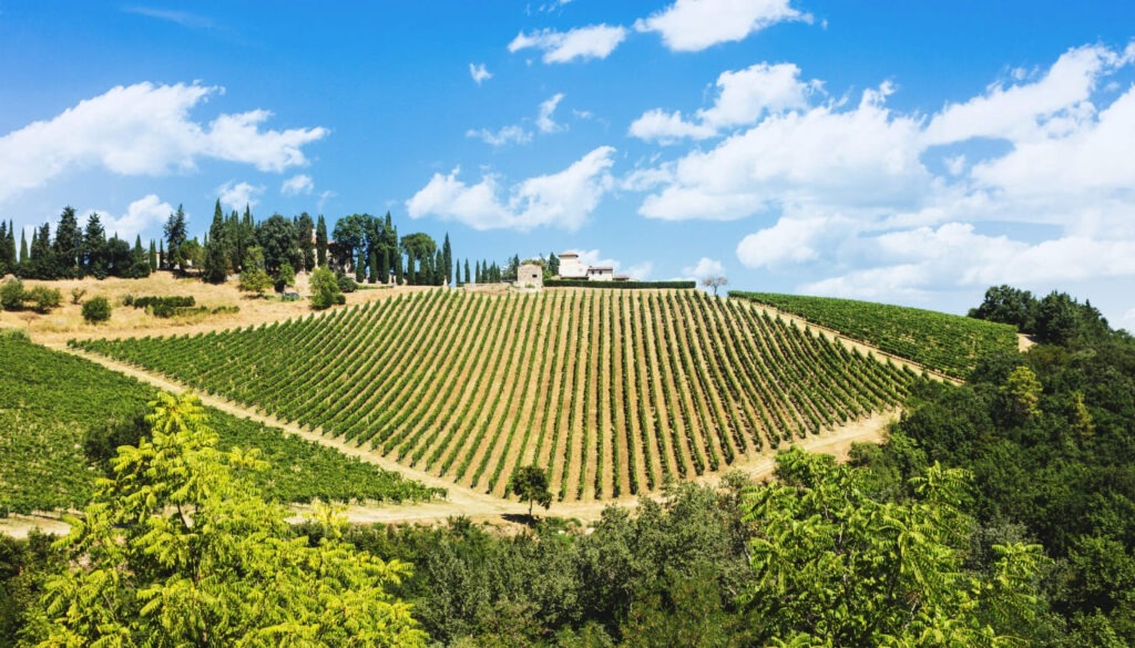 Die Chianti-Weinstraße_ Ein Klassiker für Weinliebhaber