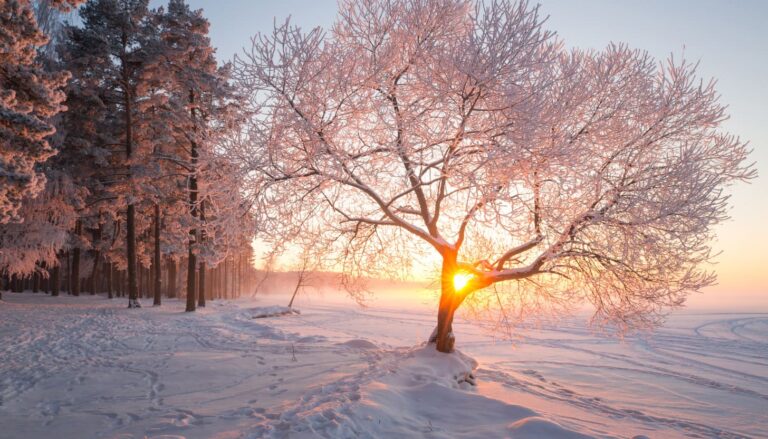 Erlebe Winterreiseziele im November günstig und schneereich