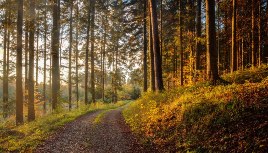 
Natur erleben und sparen: Herbstliche Nationalparks 