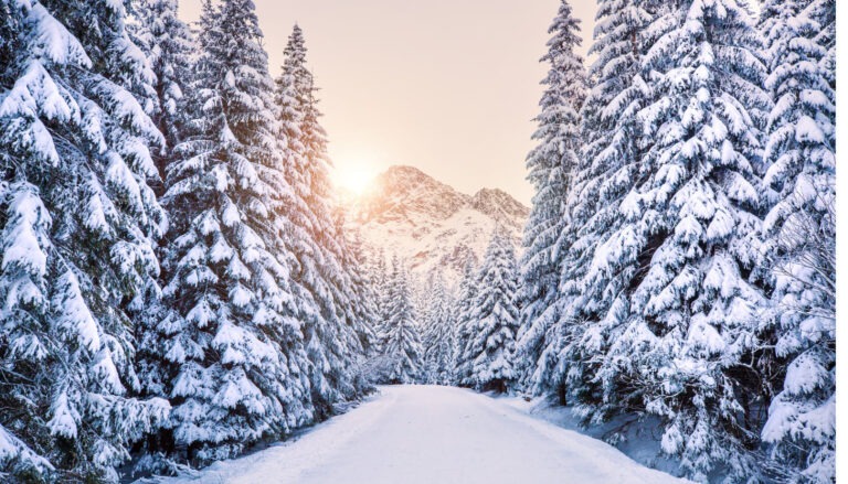 So kannst du günstig reisen im Dezember und sparen