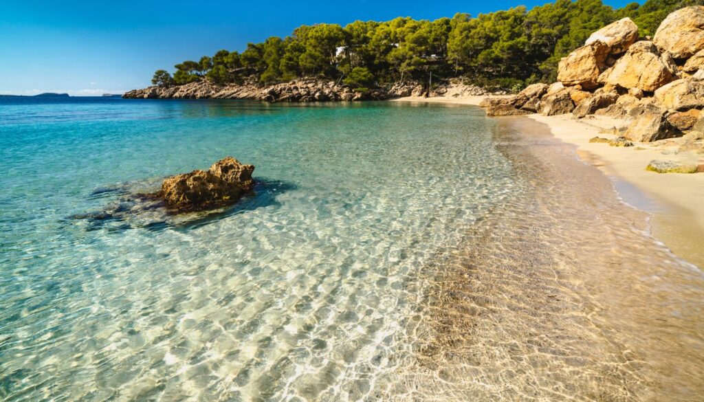 Cala Mondragó_ Eine Bucht inmitten des Naturparks