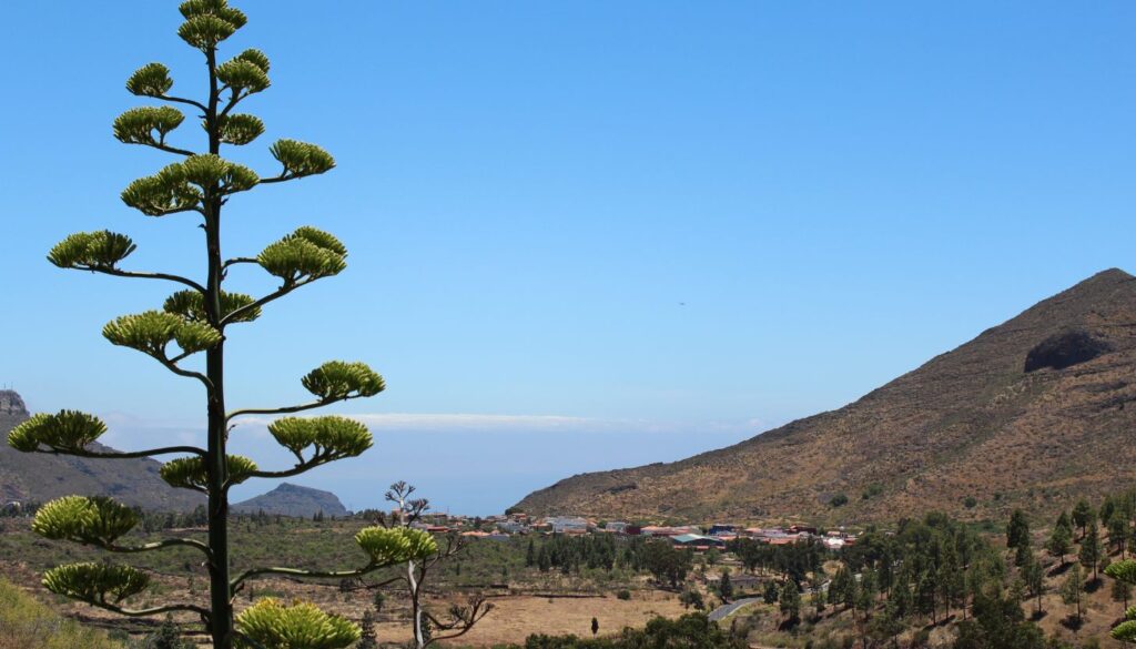 Dein Reiseführer für Teneriffa_ Die besten Empfehlungen