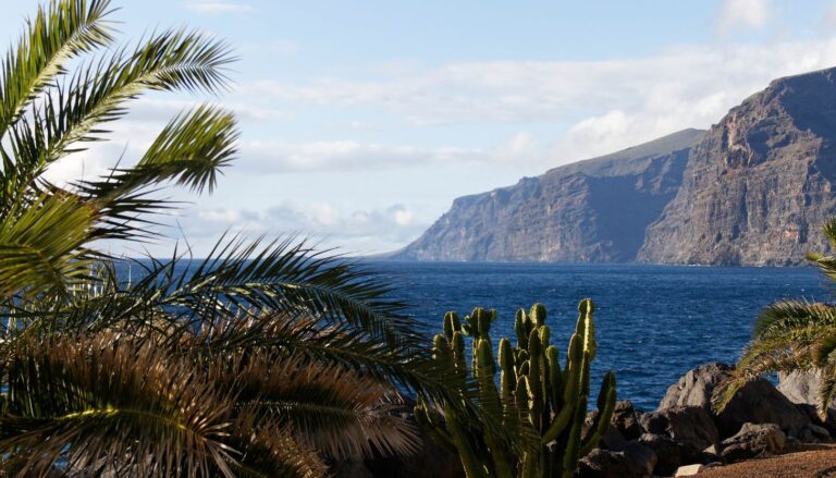 Erkunde die Natur Teneriffas_ Die schönsten Sehenswürdigkeiten