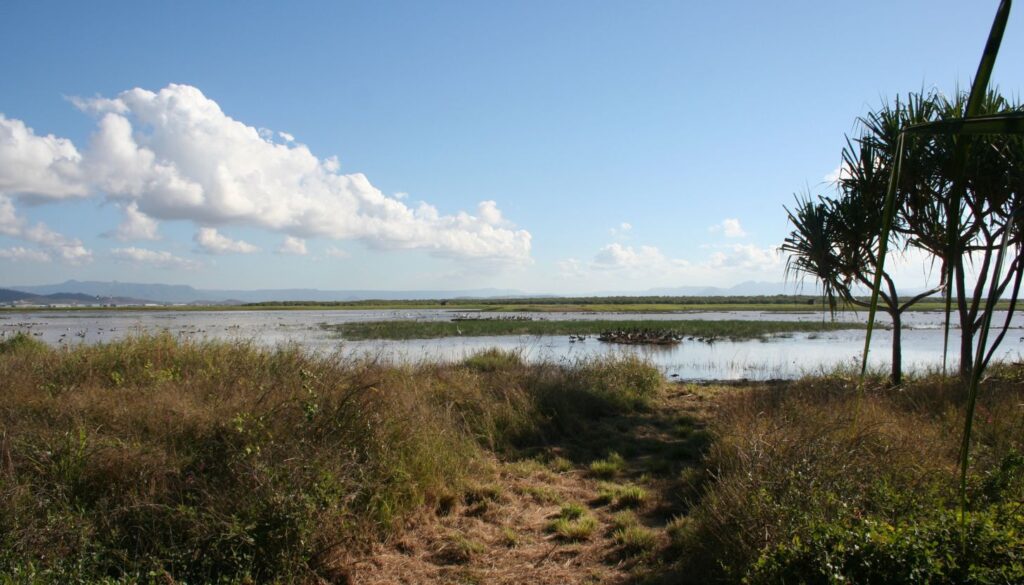 Nachhaltiger Tourismus im Naturpark Doñana