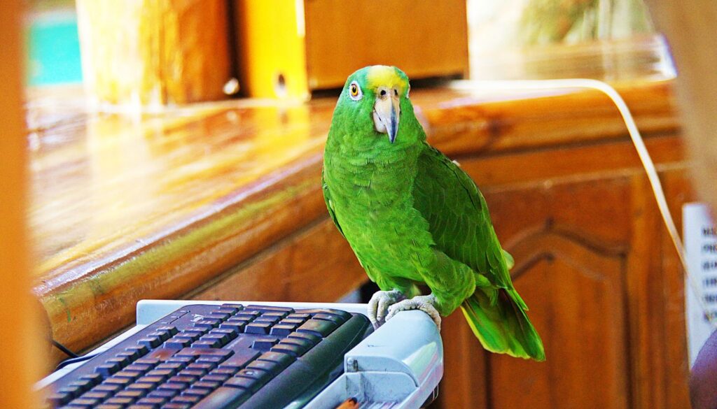 Nachhaltigkeit und Artenschutz im Loro Parque