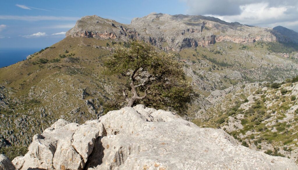 Serra de Tramuntana_ Naturerlebnis der Extraklasse