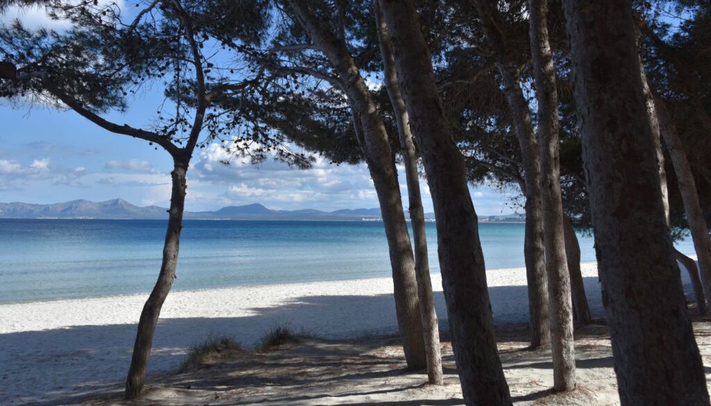 Tipps für deinen Besuch in der Alcúdia Altstadt