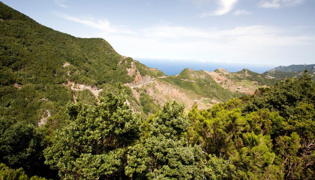 Wandern im Teide-Nationalpark