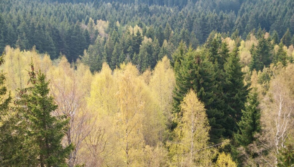 Entspannung im Harz_ Perfekt für ein günstiges Wochenende