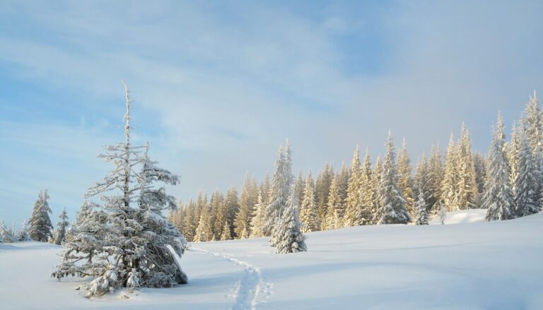 Top Winterurlaubsziele günstig, die du erleben musst